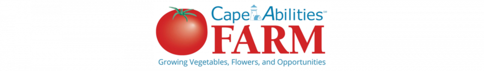 Cape Abilities Logo