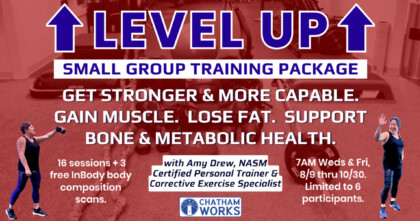 Level Up SGT news web
