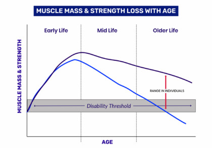 MUSCLE MASS STRENGTH